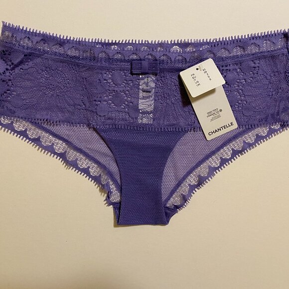 Chantelle Day to Night Lace Hipster - Dusky Lavender NWT - Picture 1 of 8